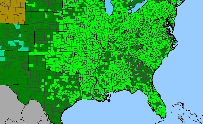 The range of Parthenocissus quinquefolia